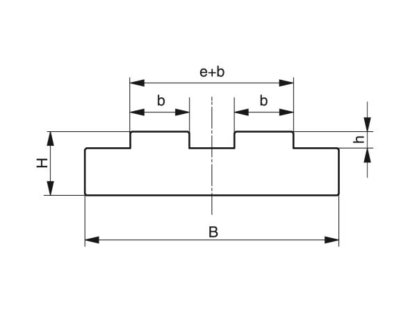 Type T-Duplex - Kettinggeleidingen voor rollenkettingen - Murtfeldt GmbH Kunststoffe - Technische Zeichnung 1