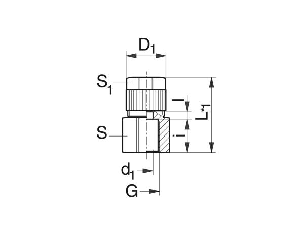 Straight screwed-on coupling for hose - Lubrication system couplings - Murtfeldt GmbH Kunststoffe - Technische Zeichnung 1