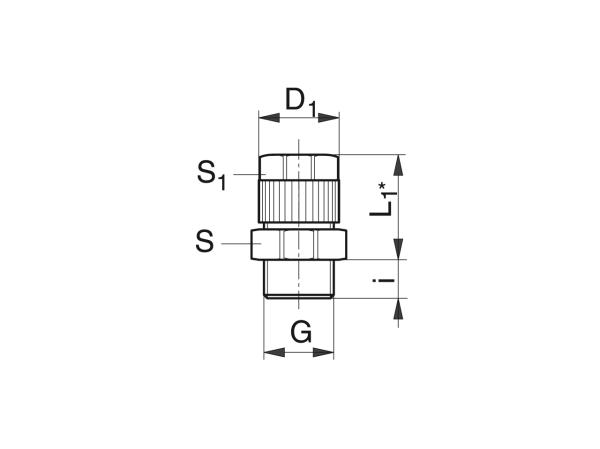 Straight screwed-in coupling for hose - Lubrication system couplings - Murtfeldt GmbH Kunststoffe - Technische Zeichnung 1