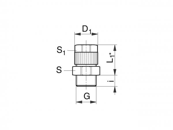 Raccordo avvitabile diritto per flessibile - Sistemi di lubrificazione per raccordi a vite - Murtfeldt GmbH Kunststoffe - Technische Zeichnung 1